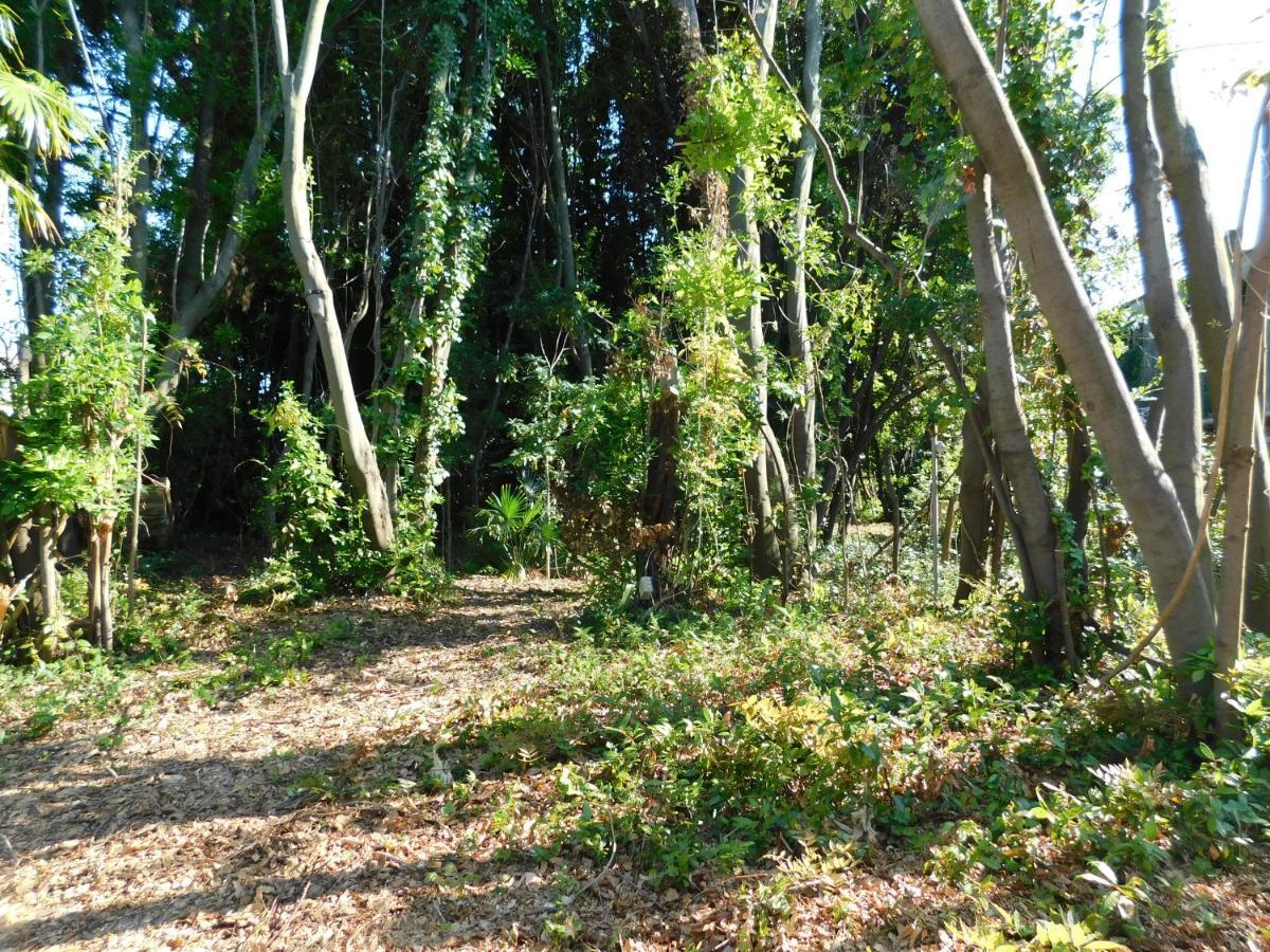 Appartamento Con Piscina Immersa Nel Verde Cascina Zewnętrze zdjęcie