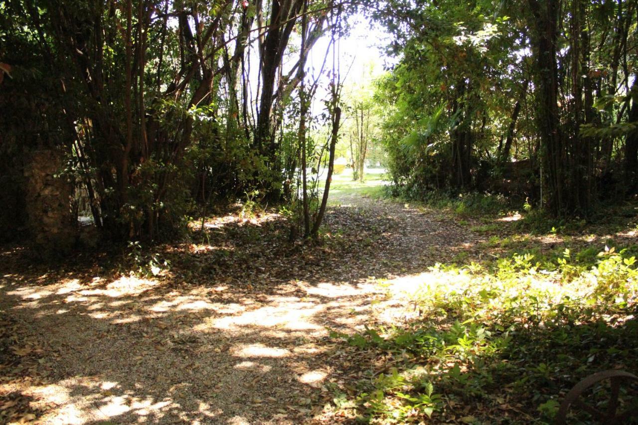 Appartamento Con Piscina Immersa Nel Verde Cascina Zewnętrze zdjęcie